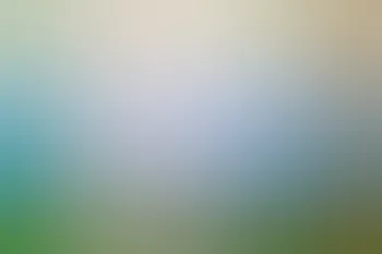 image 14